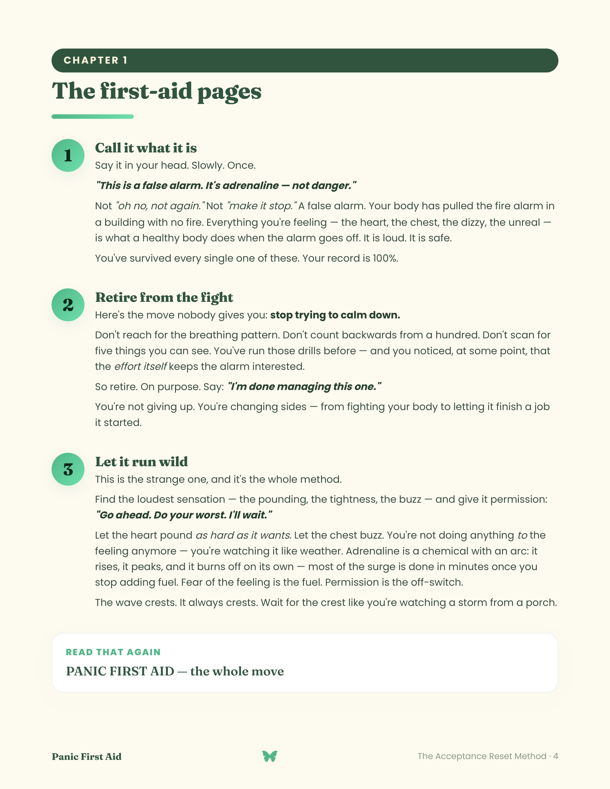 Inside Panic First Aid — page 1