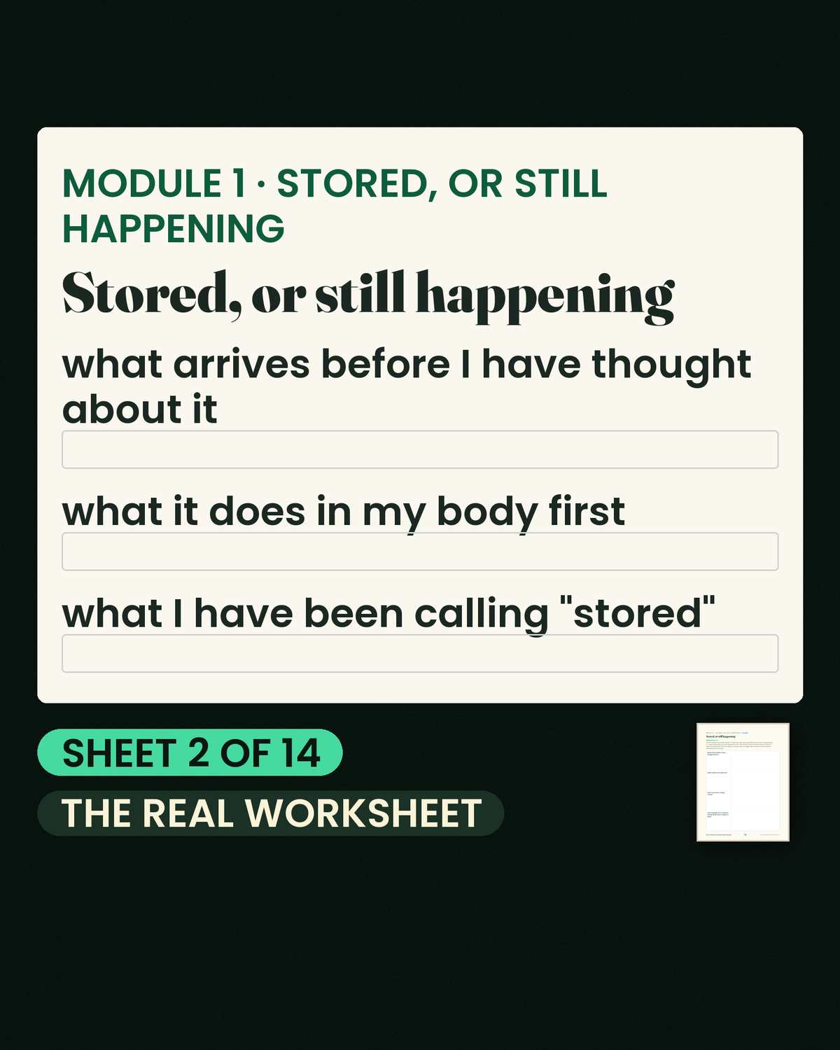 How To Release Trauma Stored In The Body — Real pages from inside How To Release Trauma Stored In The Body, shown as printed